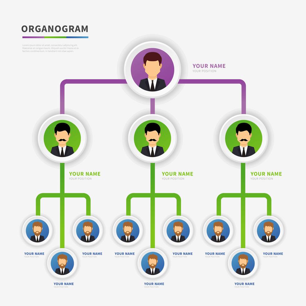 GES Organogram Organizational Structure From Headquarters To District 