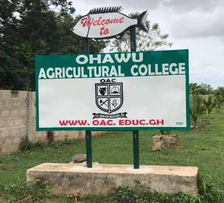 Agricultural Schools In Ghana.