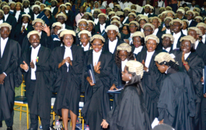 UG School Of Law Courses.