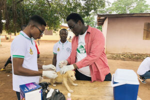 Top 10 Veterinary Schools In Ghana