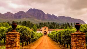 All You Need to Know about Stellenbosch: Where SU is Located