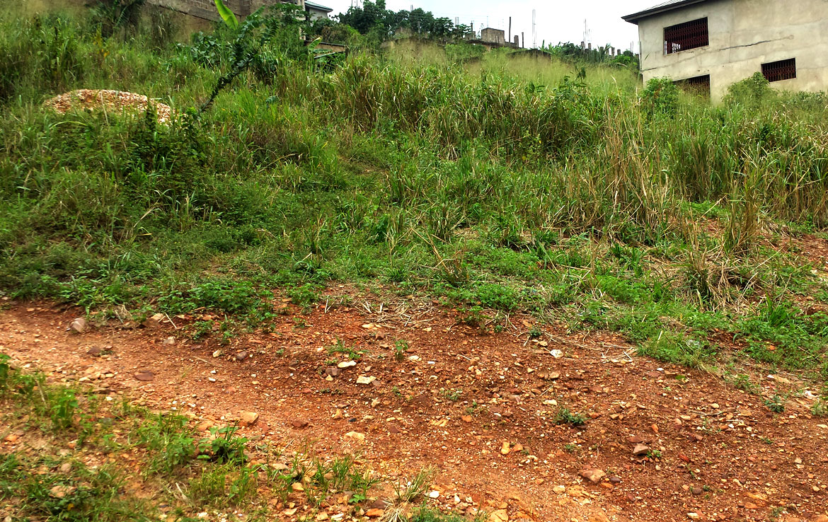 How To Buy Land In Ghana