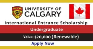 Top 10 Financial Aid Programmes For International Tertiary Students In Canada